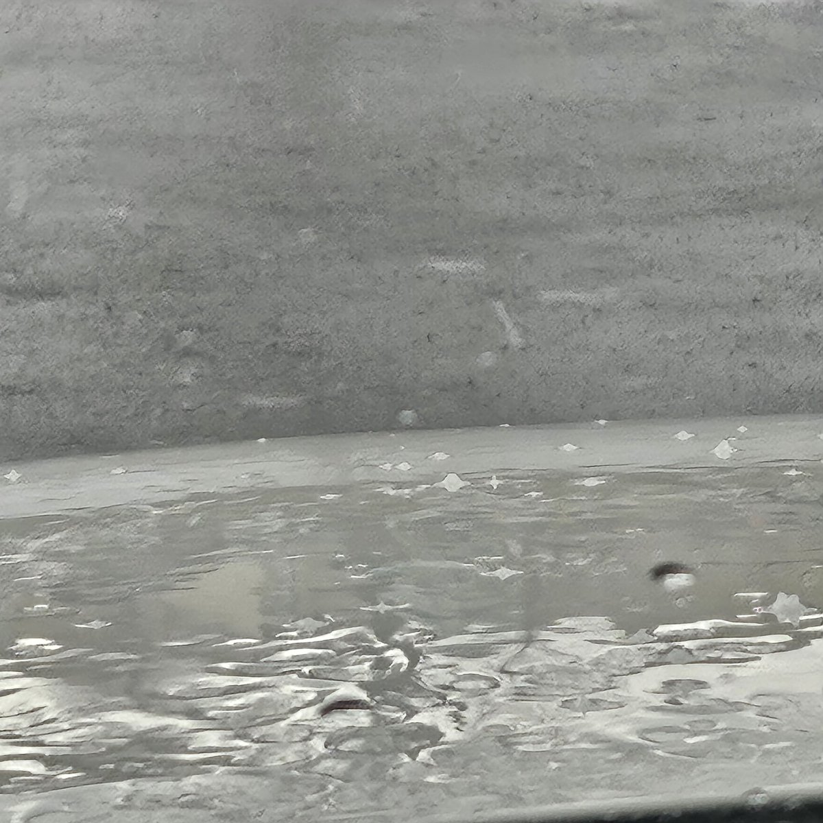 pattenclan2's tweet photo. Uhhhh....@NWSTwinCities we got hail going on in Albert Lea. Roughly .5 miles south of I90 on Bridge. Pea size, melting due to rain. Lasted a good 2 minutes. Trained Spotter. https://t.co/lQWS8syNOk