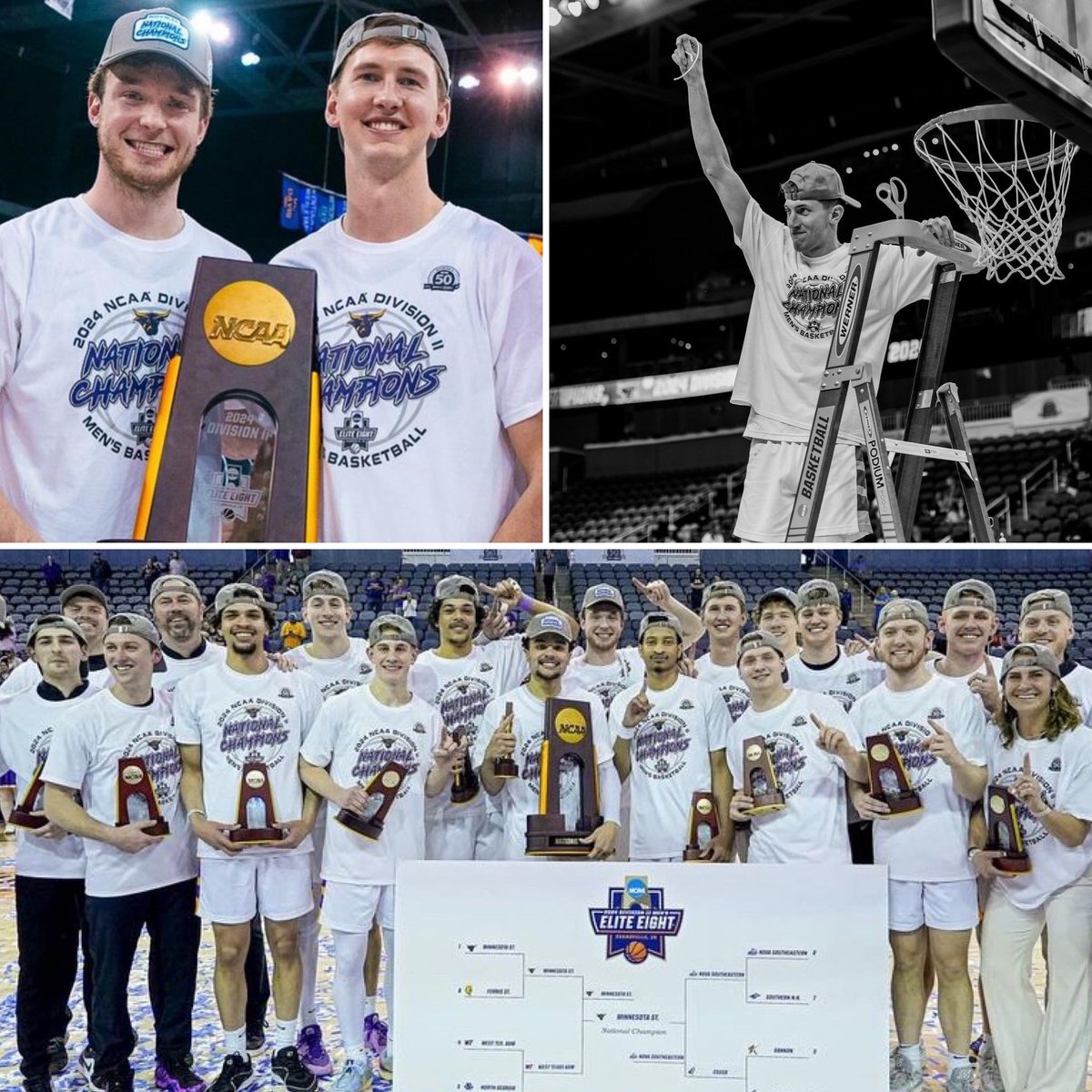 Here are some of the accolades our alumni brought home plus team success. #MidProFam #TrustTheProcess #EarnYourRespect - 1 in D1 National Tourney - 4 in D1 NIT - 2 D2 National Champions - 4 in D2 Final 4 - 2 in D3 Elite 8 & 5 in Sweet 16 - 1 in D2 JUCO Final 4 & 3 in Elite 8