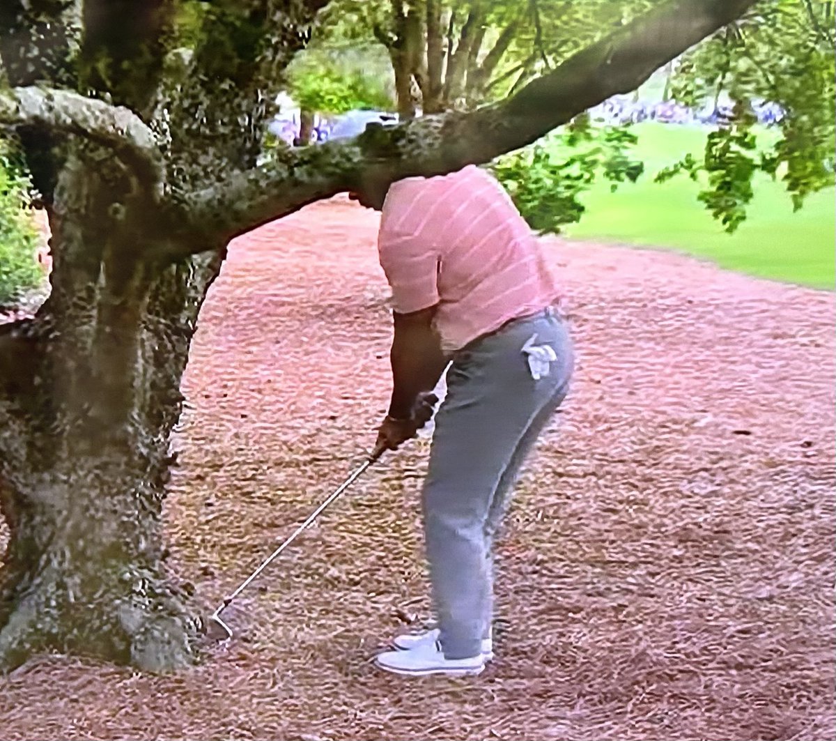 Tiger with his club backwards in a driving wind storm still hit a better shot than I could in normal circumstances.