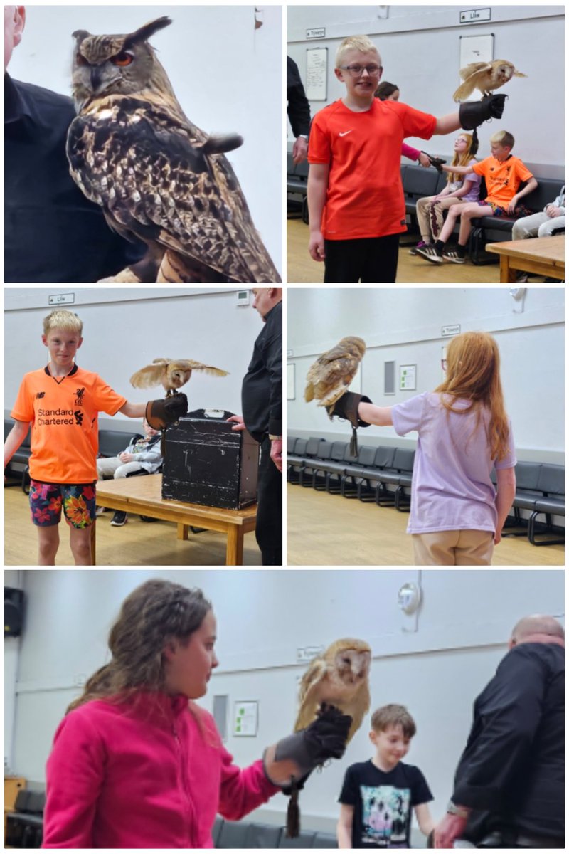 Ysgol Wepre School tweet media