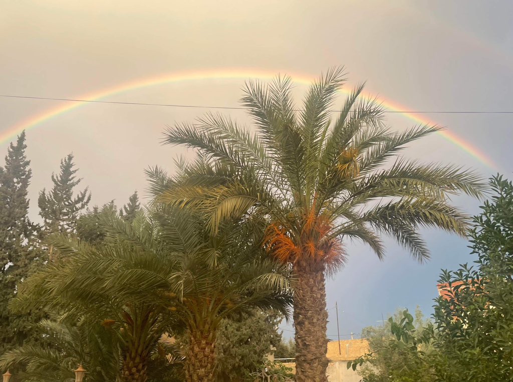 𝗕𝗜𝗟𝗞𝗔𝗠 (@bilkam2) on Twitter photo 