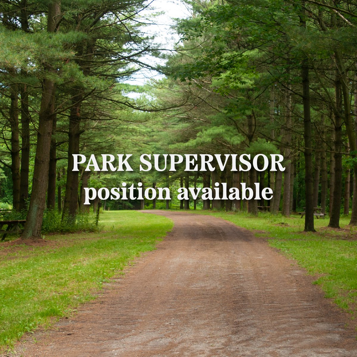 We are looking for a hardworking individual to fill a park supervisor position. If you have a passion for the outdoors and have strong leadership skills, this is the job for you! Find the full posting here, lprca.on.ca/about/employme… #wearehiring