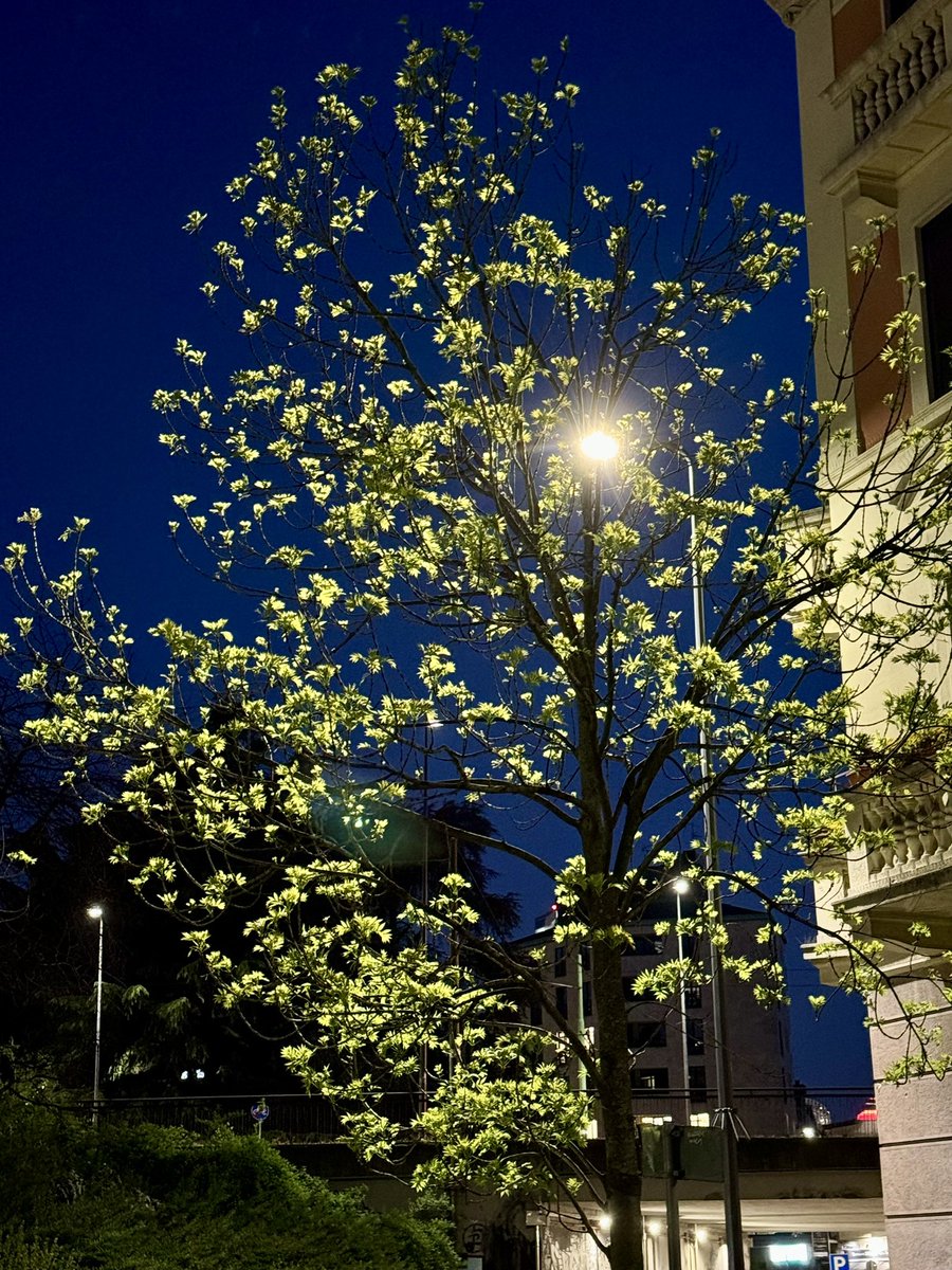 Good night Art Lovers 🤗
#NFTCommunity