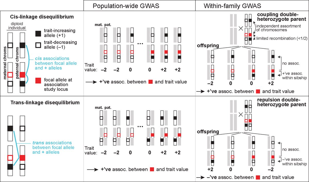.@carl_veller & @Graham_Coop present a theoretical analysis of the influence of #confounders in population- & family-based #GWAS, showing that family-based studies, though more rigorous, still carry subtle issues that arise from confounding. #PLOSBiology plos.io/3Qmu2hF