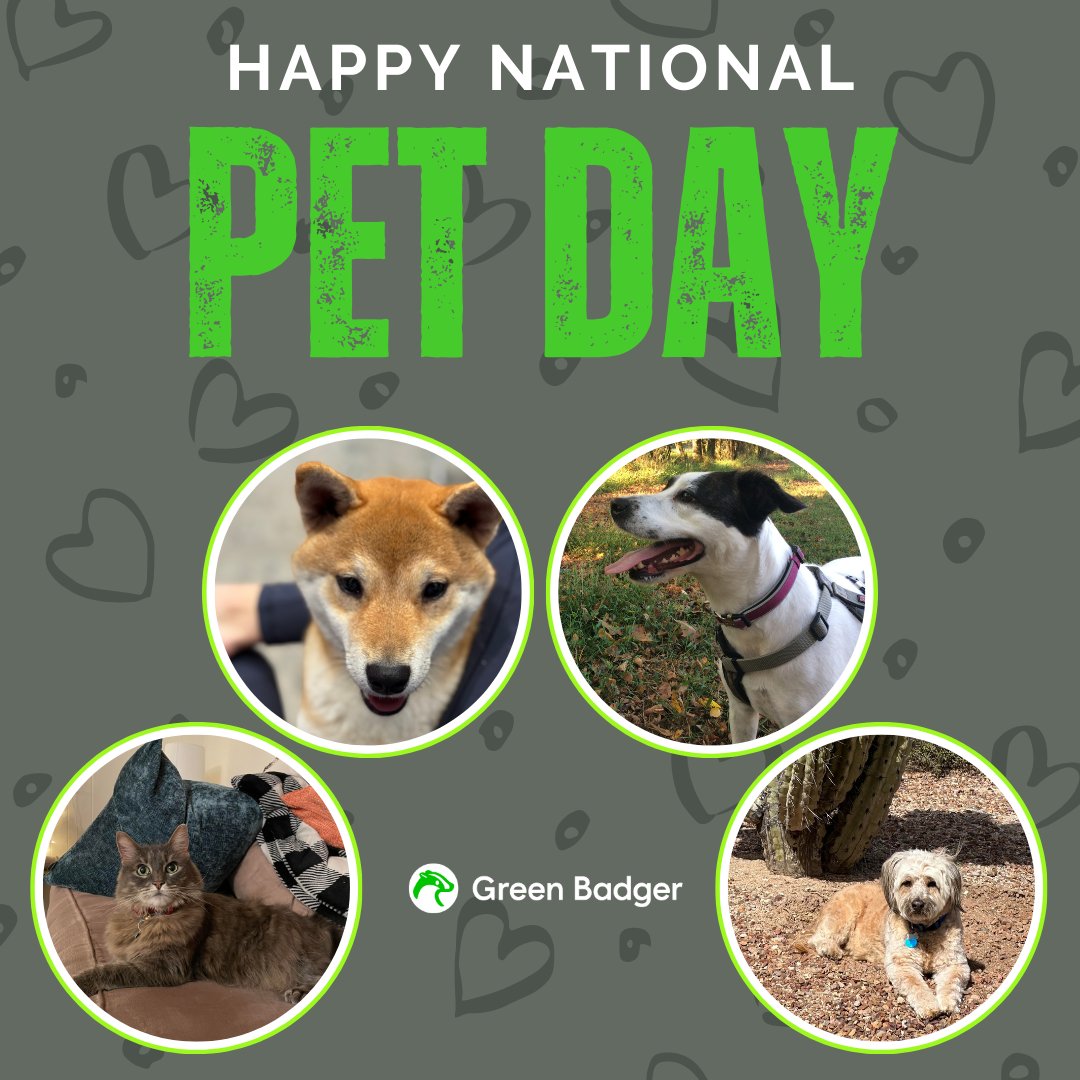 getgreenbadger's tweet image. 🐾 Happy National Pet Day! 🐶🐱  They&apos;re not just pets; they&apos;re our colleagues, confidants, and stress-relievers. Let&apos;s celebrate the joy they bring to our lives! 

#NationalPetDay #easyLEED #GreenBadger #dogs #cats #bestfriends