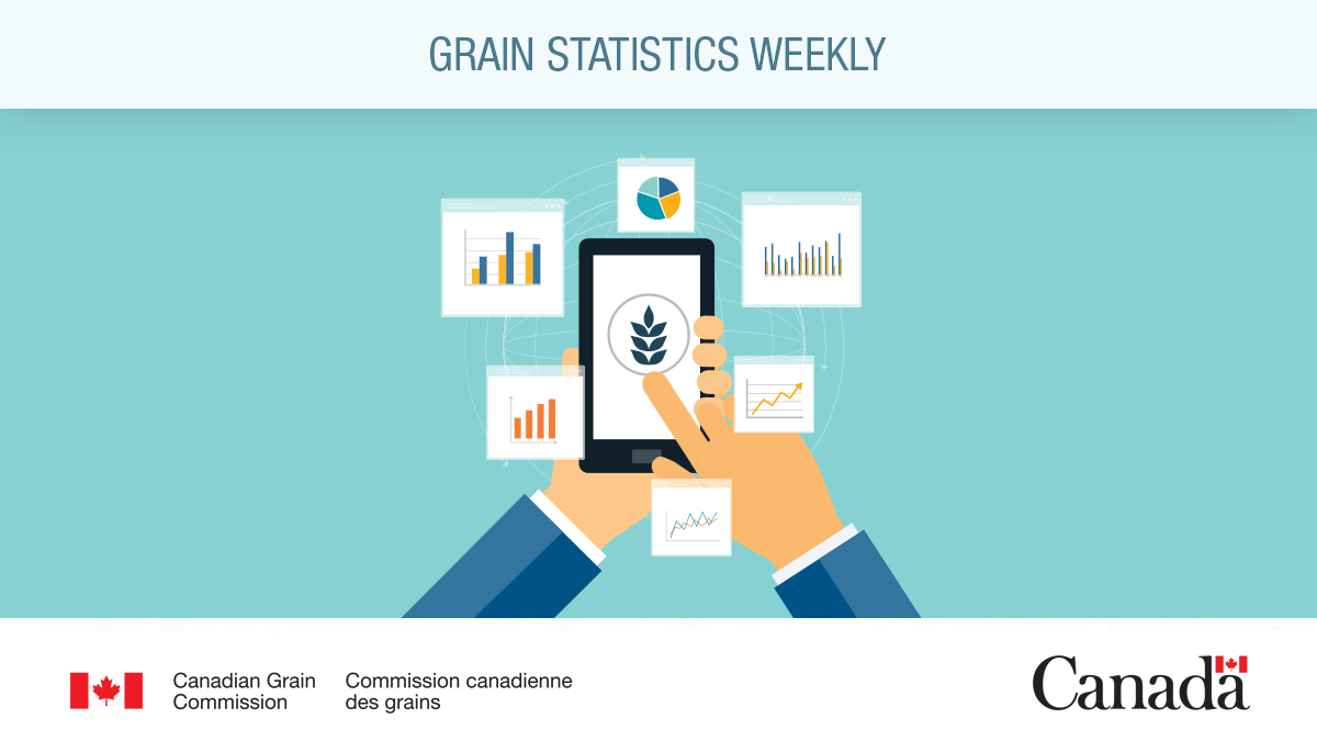 Grain Statistics Weekly for week 36, ending April 07, 2024: ow.ly/gpeA50Rex5x #CdnAg