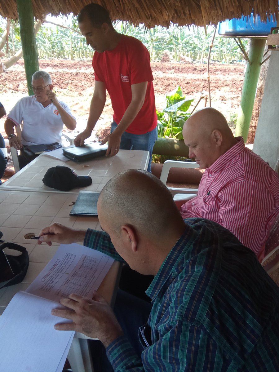 Hoy chequeamos el estado y desarrollo de los Sistemas Alimentarios Locales en los municipios Quemado de Guines y Santa Clara. Participaron Bases Productivas, productores y las Comisiones Municipales de la Ley SSAN de ambos territorios. #CubaViveYTrabaja #EstaEsLaRevolución