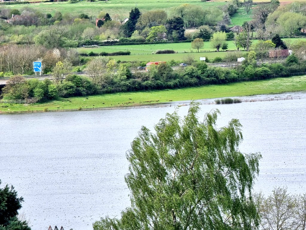 Whilst our #SAVCurlews are back & have been displaying and pairing up, it'll be a little while before any eggs are laid. Most of their fields are still underwater, the river floodplains doing their job. Hopefully, no more intense rain 🙏