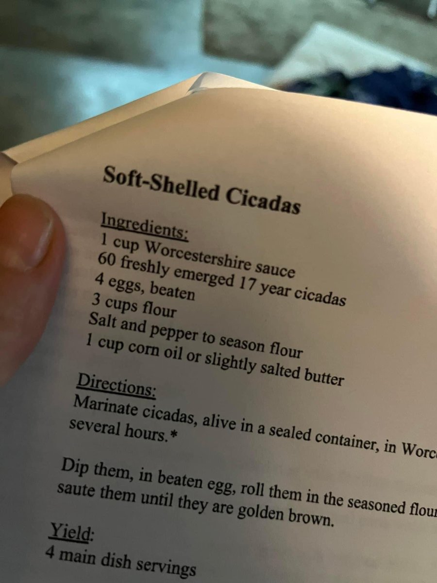 Anyone looking for a cicada recipe? Sounds delicious! #entomemeology #entomology #cicadas #doublebrood