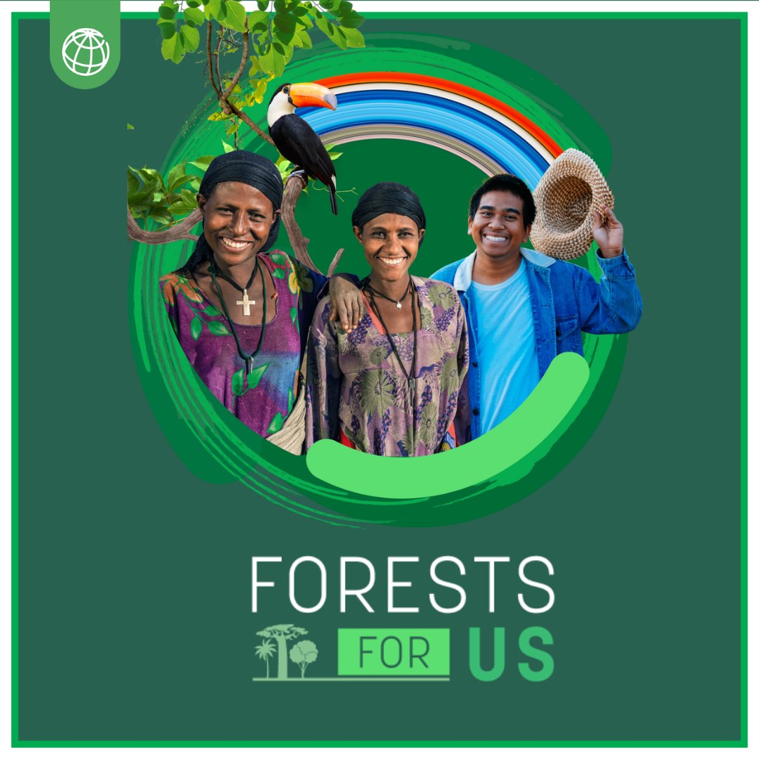 Forests play an important role in addressing today’s global challenges & hold the key to a sustainable future. Learn about the impact of the @WorldBank’s investments in forests - for people, economies & communities: wrld.bg/C70u50RexpT #ForestsForUs #WB_PROGREEN