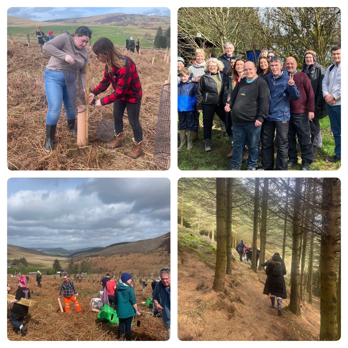 Today we celebrated our Annual Tree Planting Day at the Phoenix Forest in Glenlude. We planted over 250 trees to celebrate the recovery journey of everyone who has completed their programme with Phoenix. A huge thank you to our long term partnership and friends @JohnMuirTrust