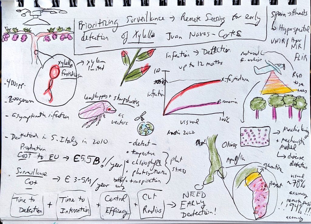 Very cool talk by @janavascortes on using remote sensing to detect Xylella outbreaks in Europe #IEW13 #sketchnotes