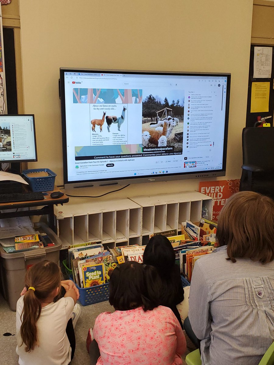 We participated in the Great Canadian Farm Tour and learned about alpacas in Ontario! Thank you <a href="/AITCCanada/">AITCCanada</a> !!