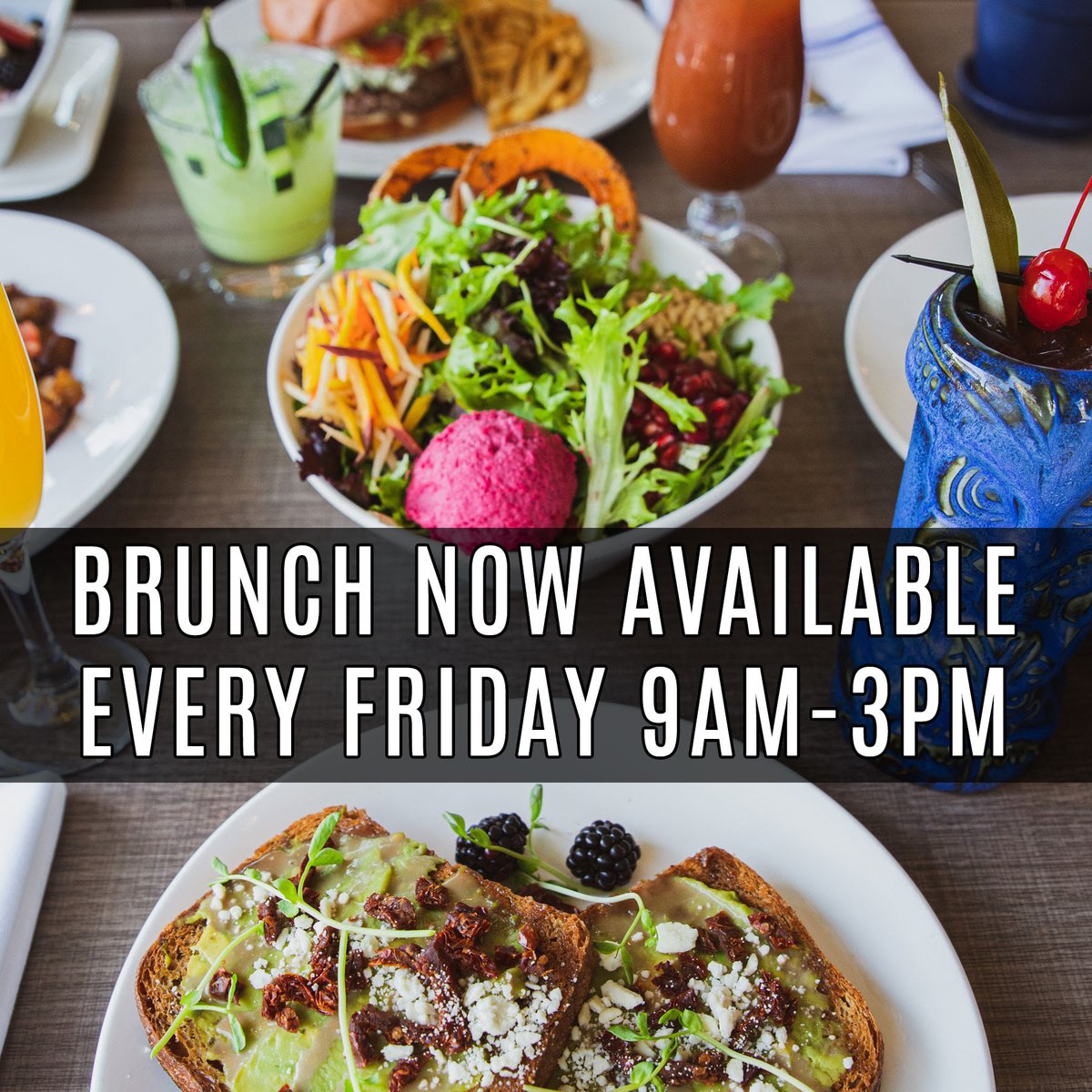 Harley Gray tweet media