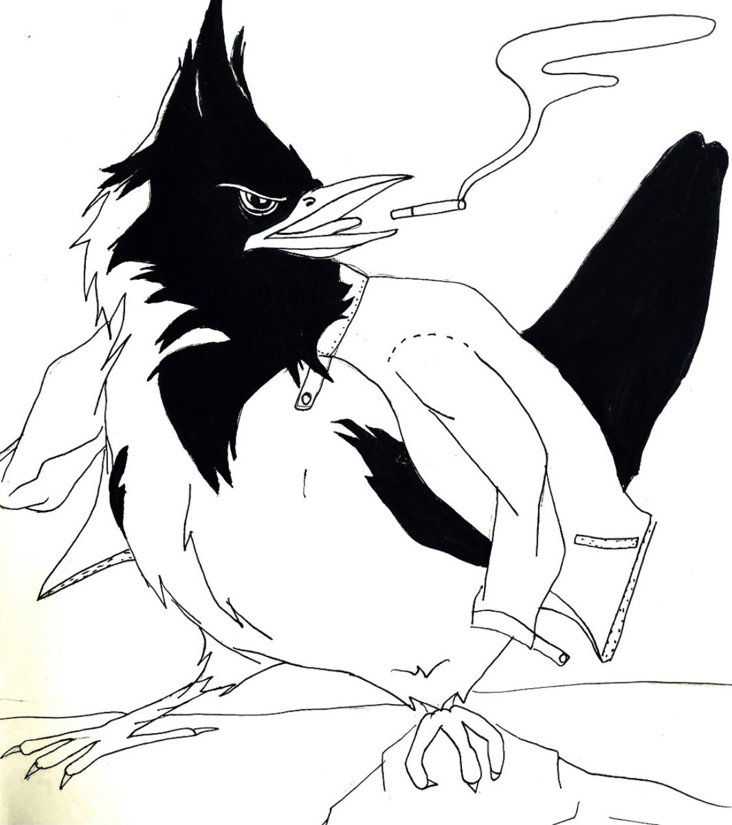 slingtaile's tweet photo. Here’s inked #lineart of our #oc @BastardFeather https://t.co/cqweoatAl8
