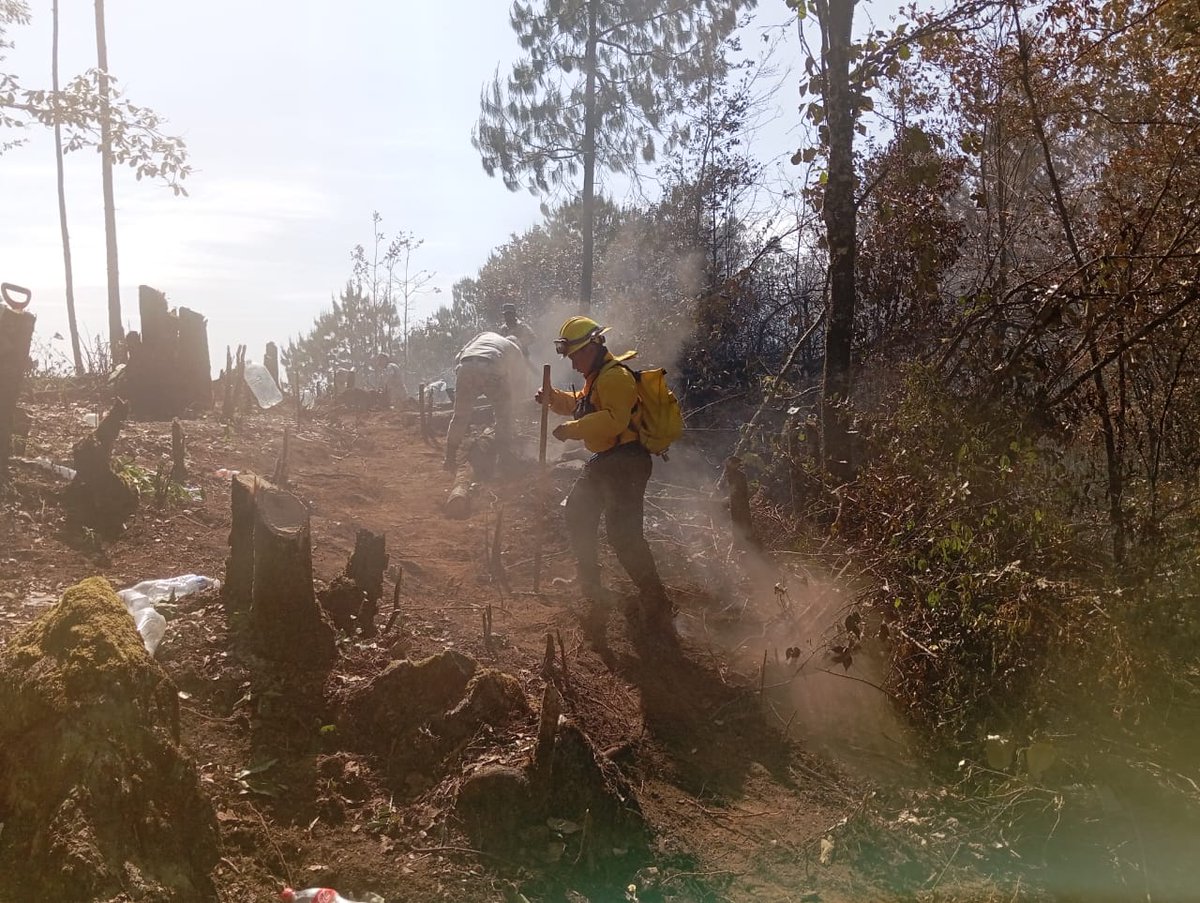 La #GuardiaNacional refuerza el #PlanGN_A de auxilio a la población para apoyar en la sofocación del incendio forestal registrado en la localidad de Xocotahuiztlo, municipio Atlahuilco en #Veracruz.