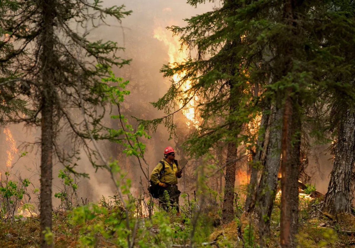 Climate change is transforming landscapes in Alaska. While it’s clear the long-term driver is climate change, a subsidiary effect — wildfire — is enforcing immediate and dramatic effects on the environment and its wildlife. Read more --> bit.ly/495riLS @USFWSAlaska