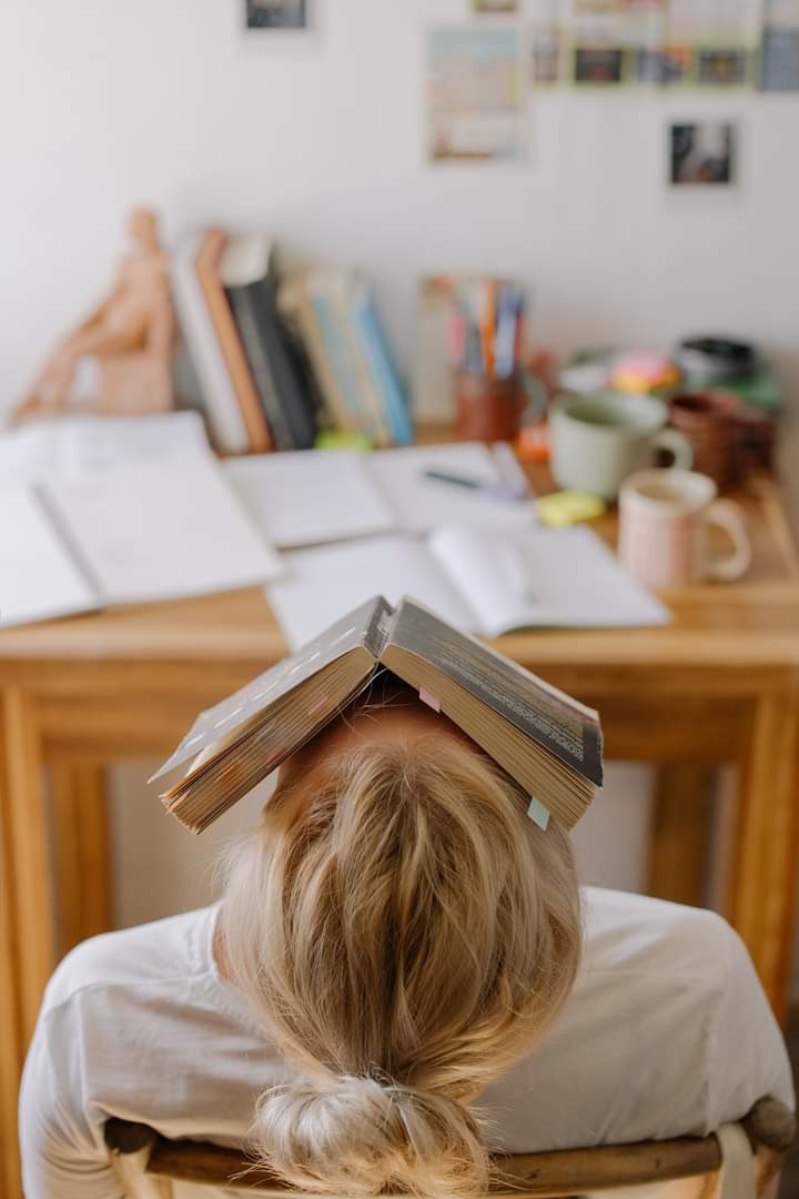 Assignment Help Services tweet media