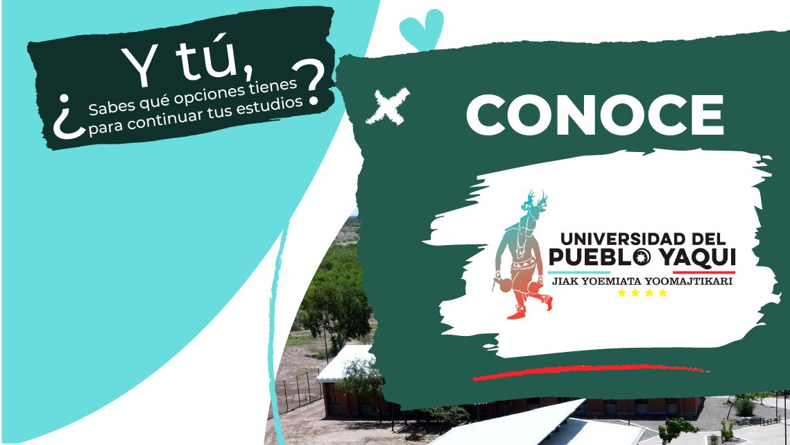 SEP_mx's tweet photo. ¡Querido sonorense! Esta oferta educativa es para ti. 📚🎓

Estudia una licenciatura en la #UniversidadDelPuebloYaqui, la cual, te ofrece una ¡beca del 100% al ser alumno de nuevo ingreso! 🤩🙌🏽

Conoce más aquí: https://t.co/6jdh2t3iJi https://t.co/SwauNDT1xf