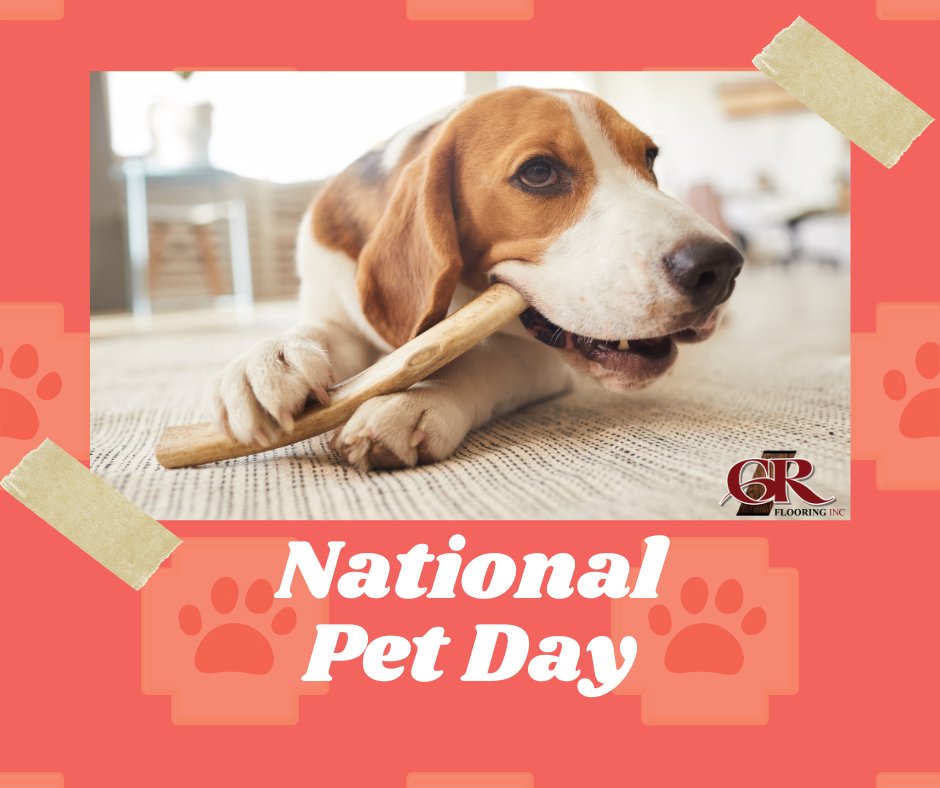 🎉🐾 Happy National Pet Day! 🐾🎉

#NationalPetDay 🐾 #PetLove ❤️ #FurryFriends 🐶 #MeowMonday 🐱 #PawsAndFloors 🏡 #PetParadise 🌟 #GRFlooring 🐾 #PetFriendlyHome 🏠 #FlooringForPets 🐾 #FlexitiFinance 💳 #ComfortAndStyle 😊