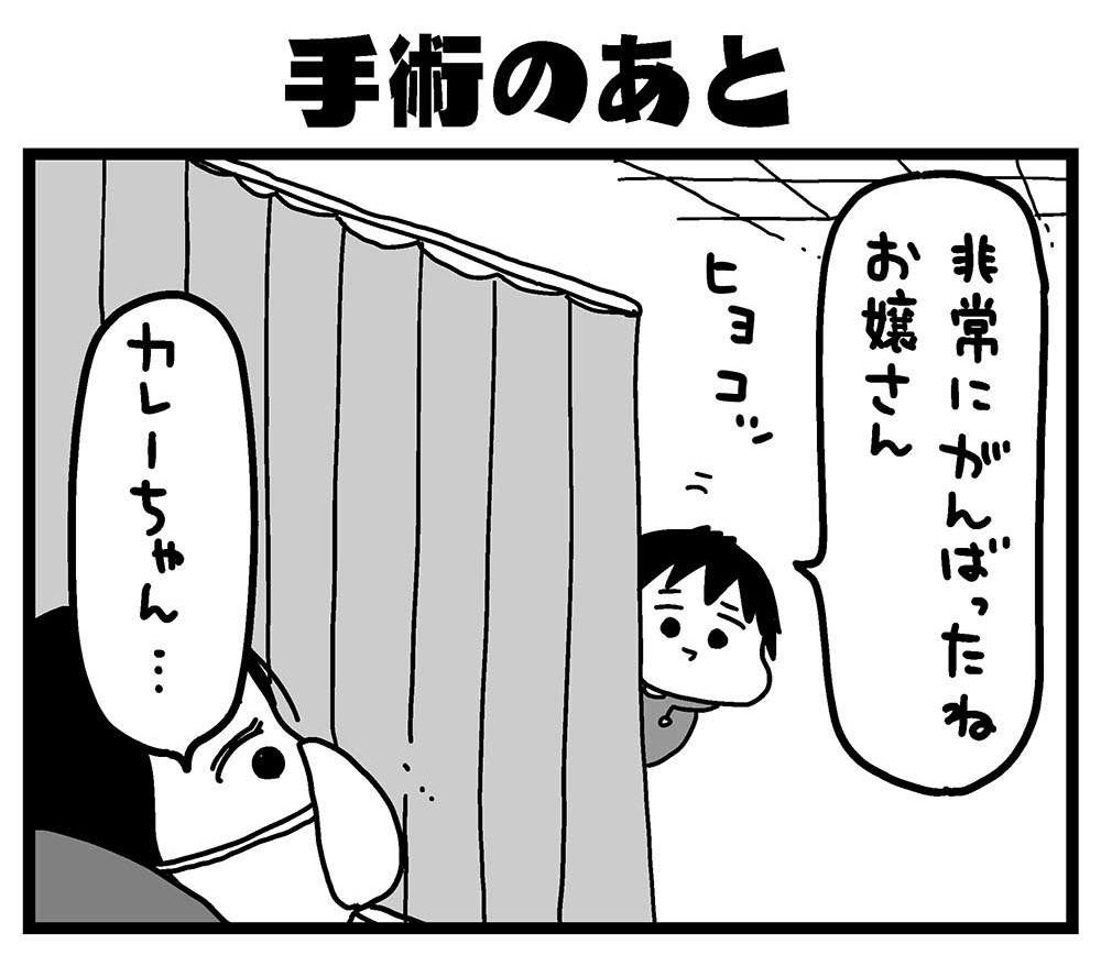 おはようございます。毎日が発見ネットさんでふうふの日記マンガの第50回が更新されています。残る更新もあと少しです。最後まで読んでもらえると嬉しいです。 