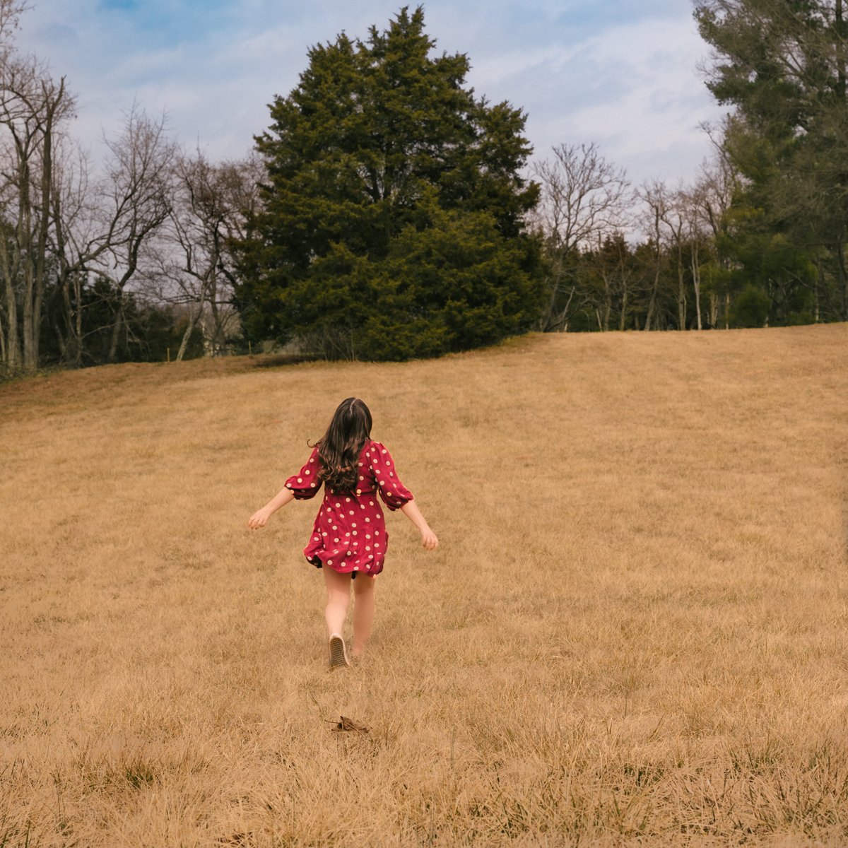 My new song, "Robert Frost" will be out everywhere at midnight!
You can read about the process &amp; inspiration here: instagram.com/p/C5oZKUZr-GR/…
Hope you like it!