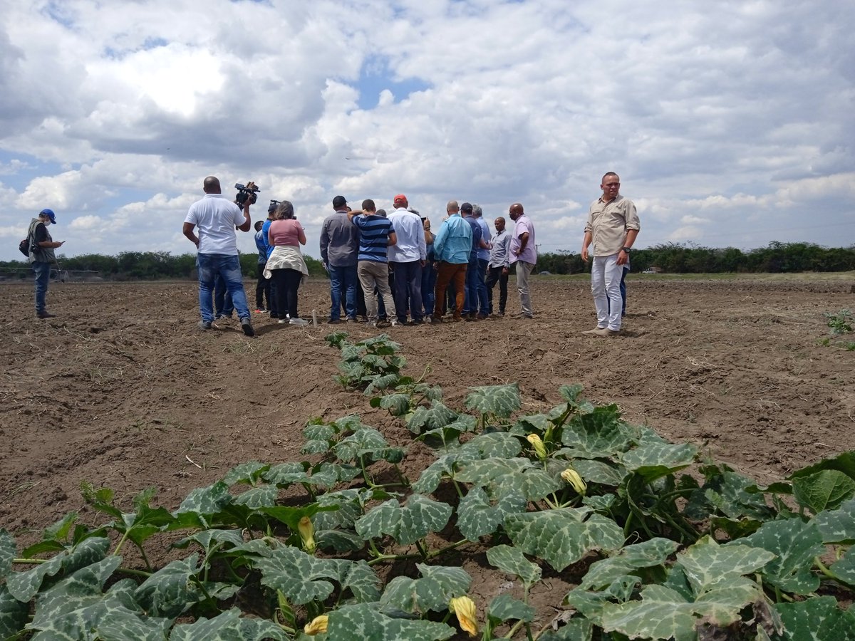 @DiazCanelB anduvo áreas bajo riego donde el Ejército Juvenil del Trabajo fomenta cultivos varios. Indagó por el uso d tracción animal y abejas pa' polinizar. Dijo: 'Estás máquinas bien atendidas dan alimento para #Jiguaní y otros municipios' #YoSigoAMiPresidente 📸@CubanoAPie2