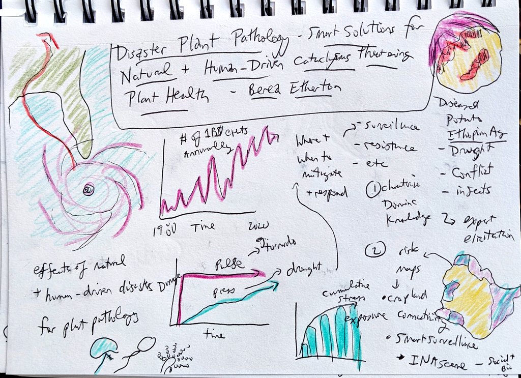 LOVE the talk by @Berea_Etherton on Disaster Plant Pathology, focused on how we can use our skills as plant pathologists to mitigate long term humanitarian costs associated with disasters by improving food security post event. 
See apsjournals.apsnet.org/doi/10.1094/PH…

#IEW13 #sketchnotes