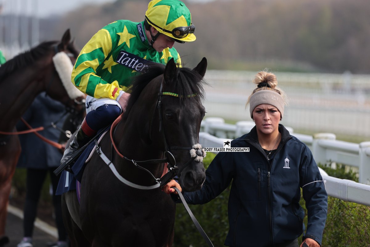 ARKENDALE (Pivotal x Paris Rooftops) at Newcastle on Monday for the class four handicap. Trained by @ebethellracing, owned by John Carrick & Partner and ridden by @CallumRodrigue4. Winner of one race so far and placed fourth in listed company in the past.