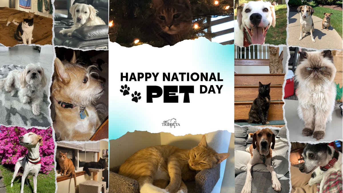 TrifectaTechnologies tweet media