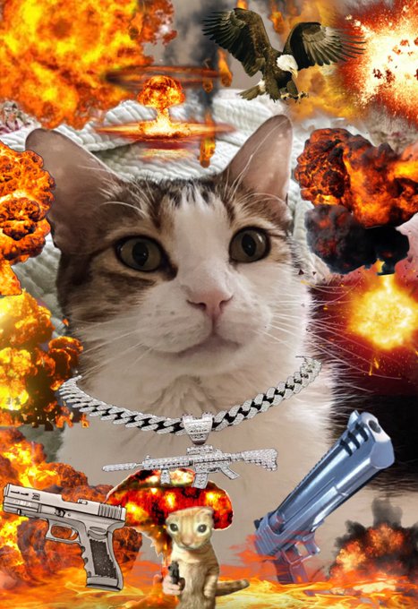 Sad to announce Mr Mow has passed away. Our beloved little criminal was surrounded by loved ones at the<a href="/tag/mvsales"class="tags"><span>#mvsales</span></a>