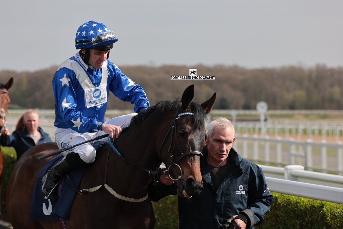 TARJAMAH (Dubawi x Tarayef) at Newcastle on Monday in the class four handicap. Trained by Tracey Waggott, owned by S. Rain and ridden by @tomeaveswigan. A winner on debut for John Gosden and from the family of high class stayer Saddler's Rock.