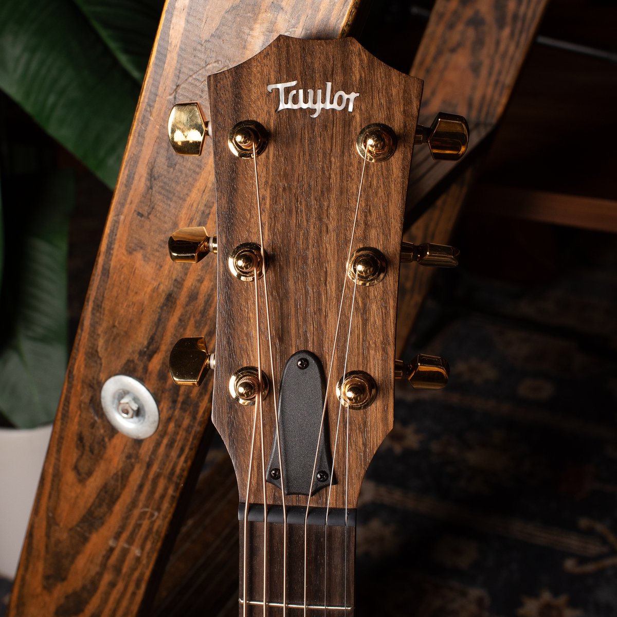 Find your @Taylorguitars at CME this #TaylorThursday! From brand-new 50th Anniversary models to fresh electric-acoustic T5z arrivals, we have the Taylor Guitar for you! Click, call, chat, or visit us this #TaylorThursday! bit.ly/3zkmbZr #CME #TaylorGuitars