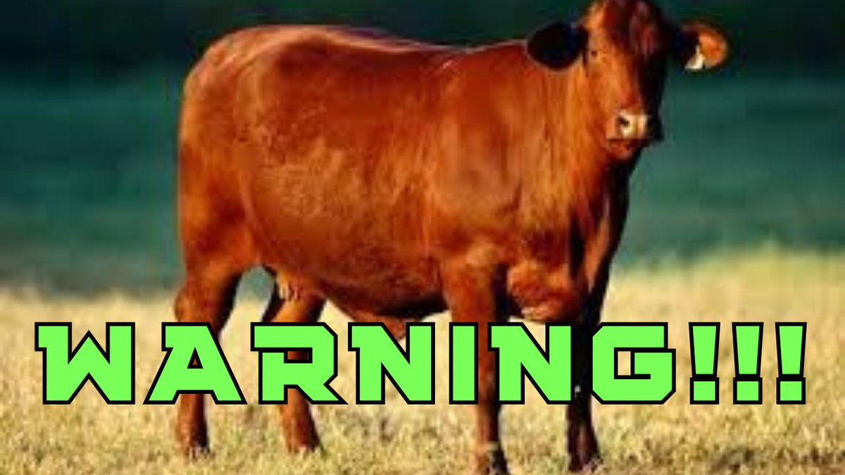 RED HEIFER TO BE SACRIFICED APRIL 22ND!!! NEW SHOW ON YOUTUBE WATCH NOW! youtu.be/94YYcF6ms3k?si… #endtimes