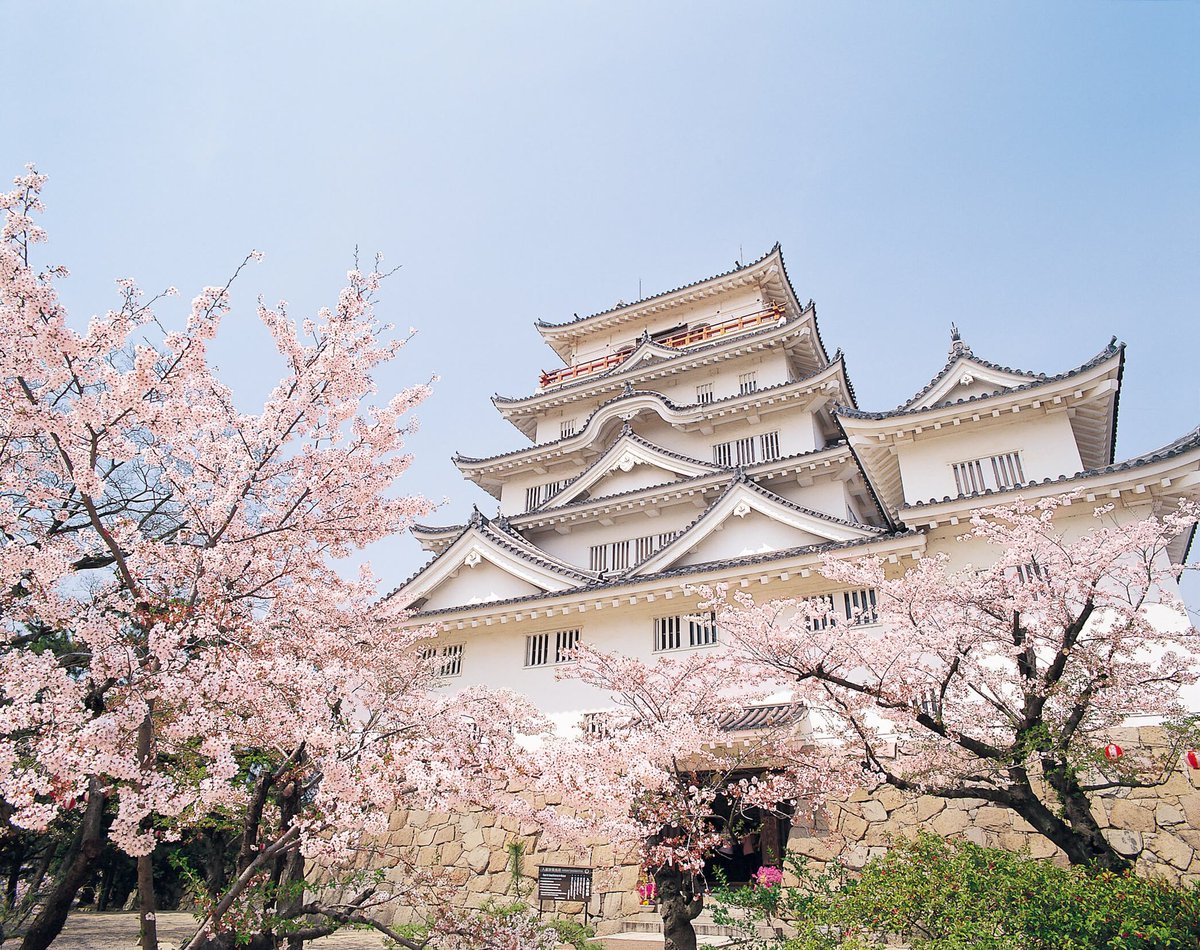 【いよいよ明日❗️福山城も🌸満開❗️ #フクヤマニメ7 半年前カウトンダウン❗️】

天津飯大郎・浅沼晋太郎の『若きベルデルの悩みライブin福山』開催

日時／4 月 13 日（土） 
           ①13時②15時半
会場／福山駅前シネマモード
料金／3300 円

furec.jp/cinema-mode/mo…

#浅沼晋太郎 
#ベルデル