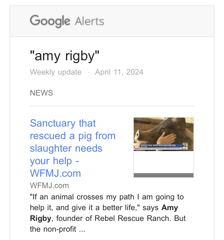 Google alert for 'Amy Rigby' and I felt excitement, things are already rolling for my single and video release next Friday Apr 19? Uh, nope - this is another Amy Rigby doing good work with animals. I feel so shallow.