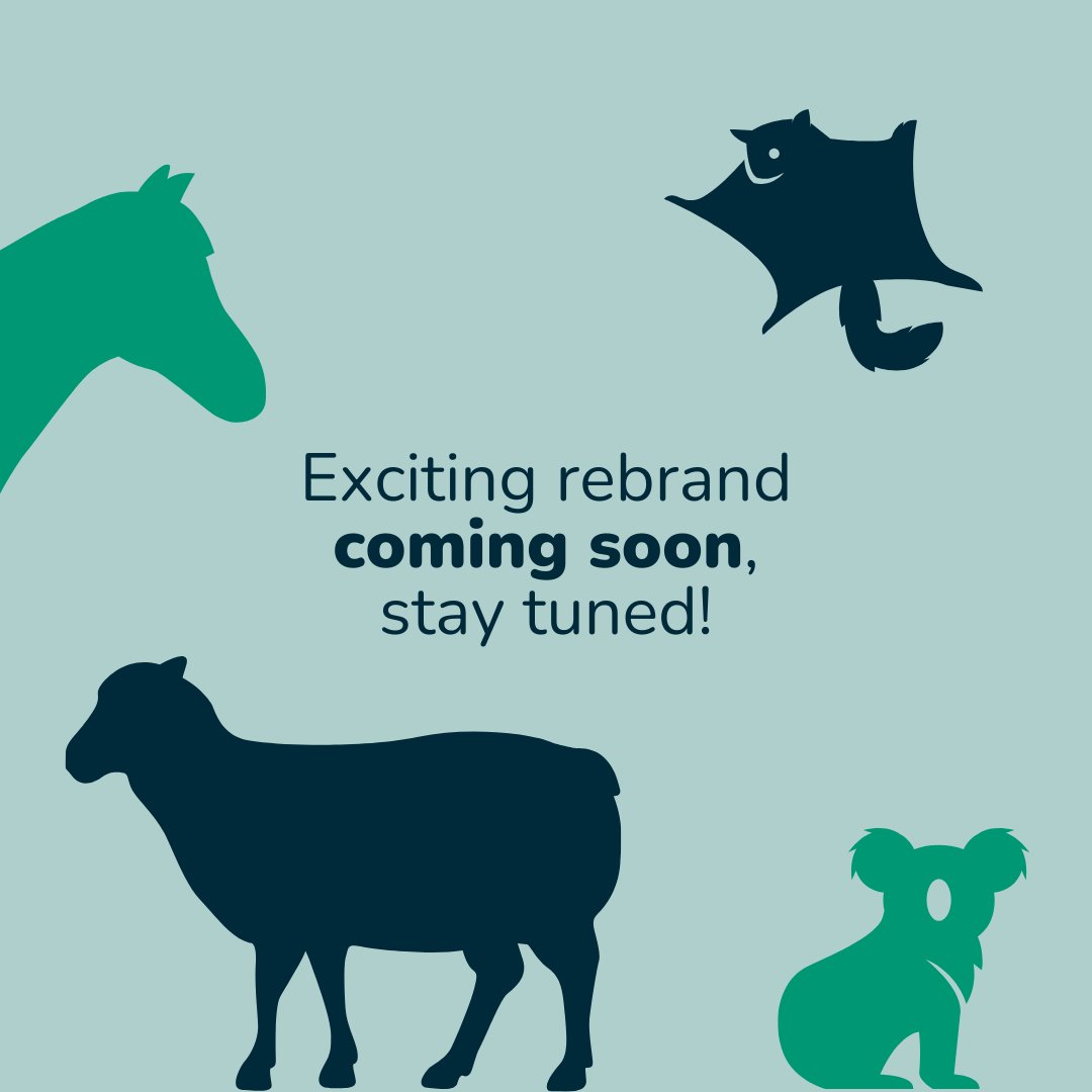 Since 1979, we've been tireless advocates for animal rights. Now, we're embarking on a new chapter in our journey. Get ready to be part of a kinder future as we unveil our first rebrand in over 40 years. Stay tuned for our exciting announcement!