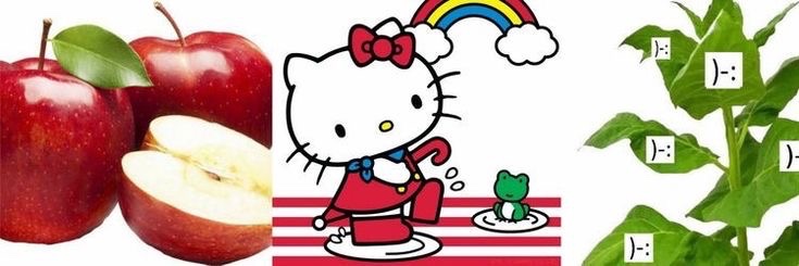 HOLIS !! 🍓
soy una cuenta en donde puedes dedicarle cosas a tu pc/persona especial de manera anónima en curiouscat/dm !

rt para que llegue a más personitas y poder repartir amor, fav para ser mutuals #cartoontwt #genshintwt #anitwt #kpoptwt #stantwt