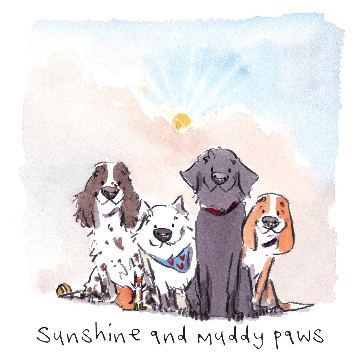 Good night, lovely people and lovely dogs.
The team are enjoying a little sunshine.
Sleep well and sweet dreams. 
I am wishing you the very best for the tail end of your week. 
#Hoorayfordogs #springer #westie #labrador #beagle #redsquirrel #sunshine