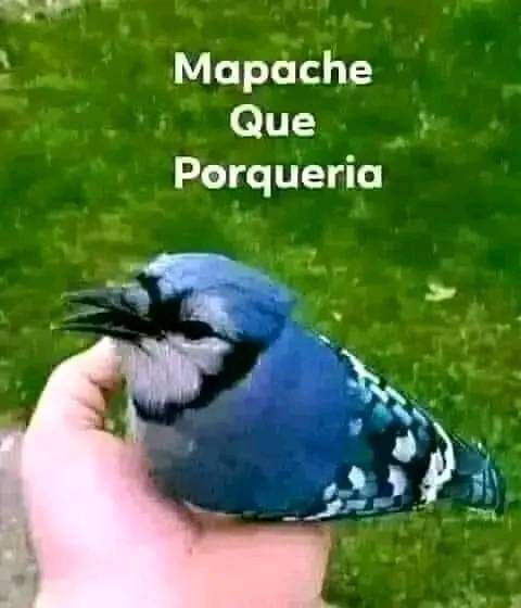 soyatomic's tweet photo. @santttttiii https://t.co/Czwg0TAp3Z