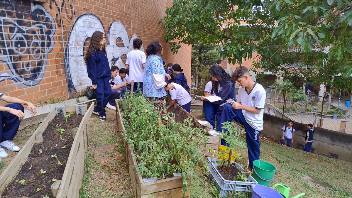 Los estudiantes de la I. E. José Manuel Restrepo Vélez están comprometidos con su huerta escolar, realizando la siembra de lechugas, tomates, aromáticas y manteniendo activamente el compostaje.  
Hoy realizaron la resiembra de nuevas plántulas.