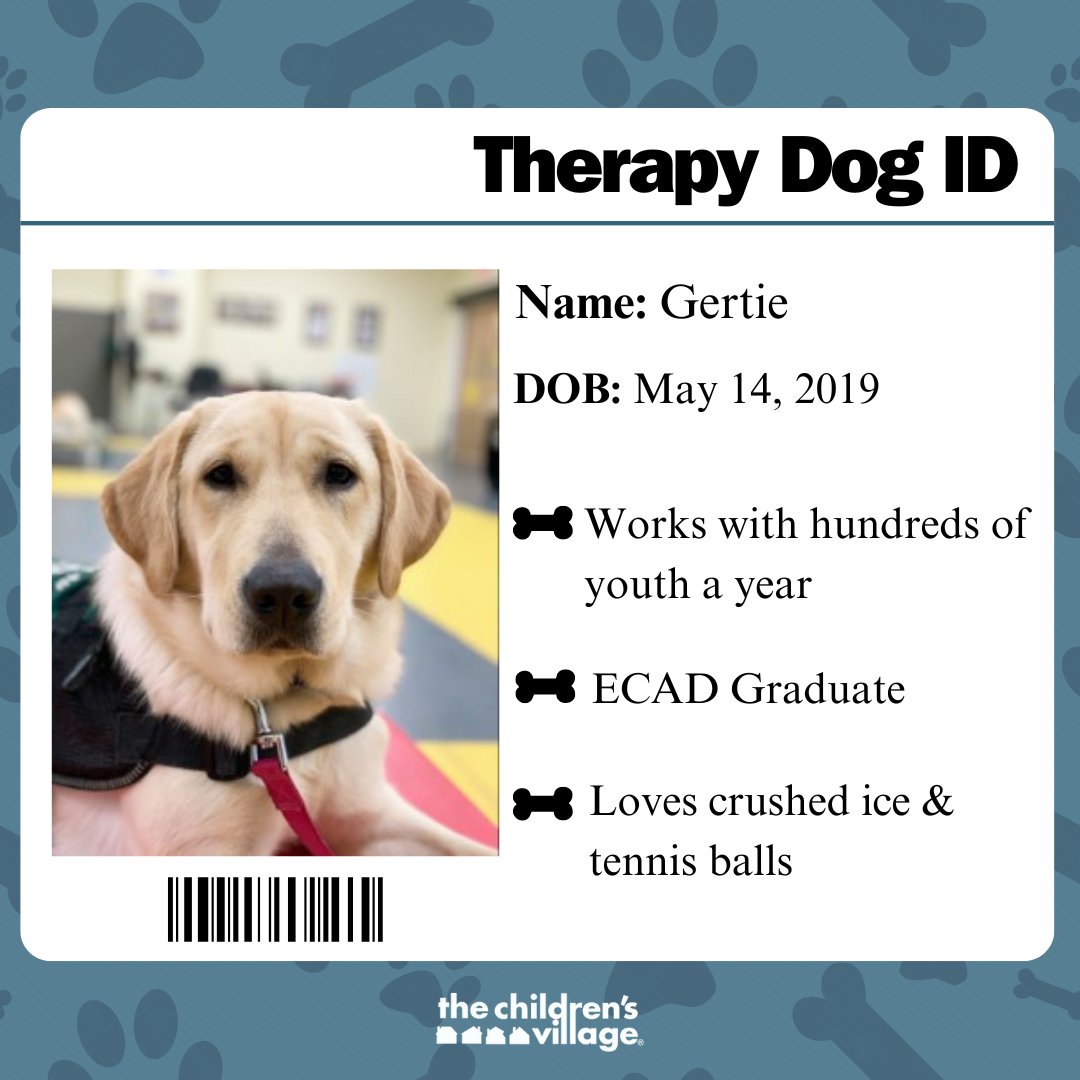 It's Dog Therapy Appreciation Day! Meet Gertie CV's therapy dog since 2022. 

Animal Assisted Therapy is incredibly effective! Animals have the power to disarm emotions, invoke empathy, and be a friend to lean on. 

Thank you for your service Gertie! 
 @ECADServiceDogs