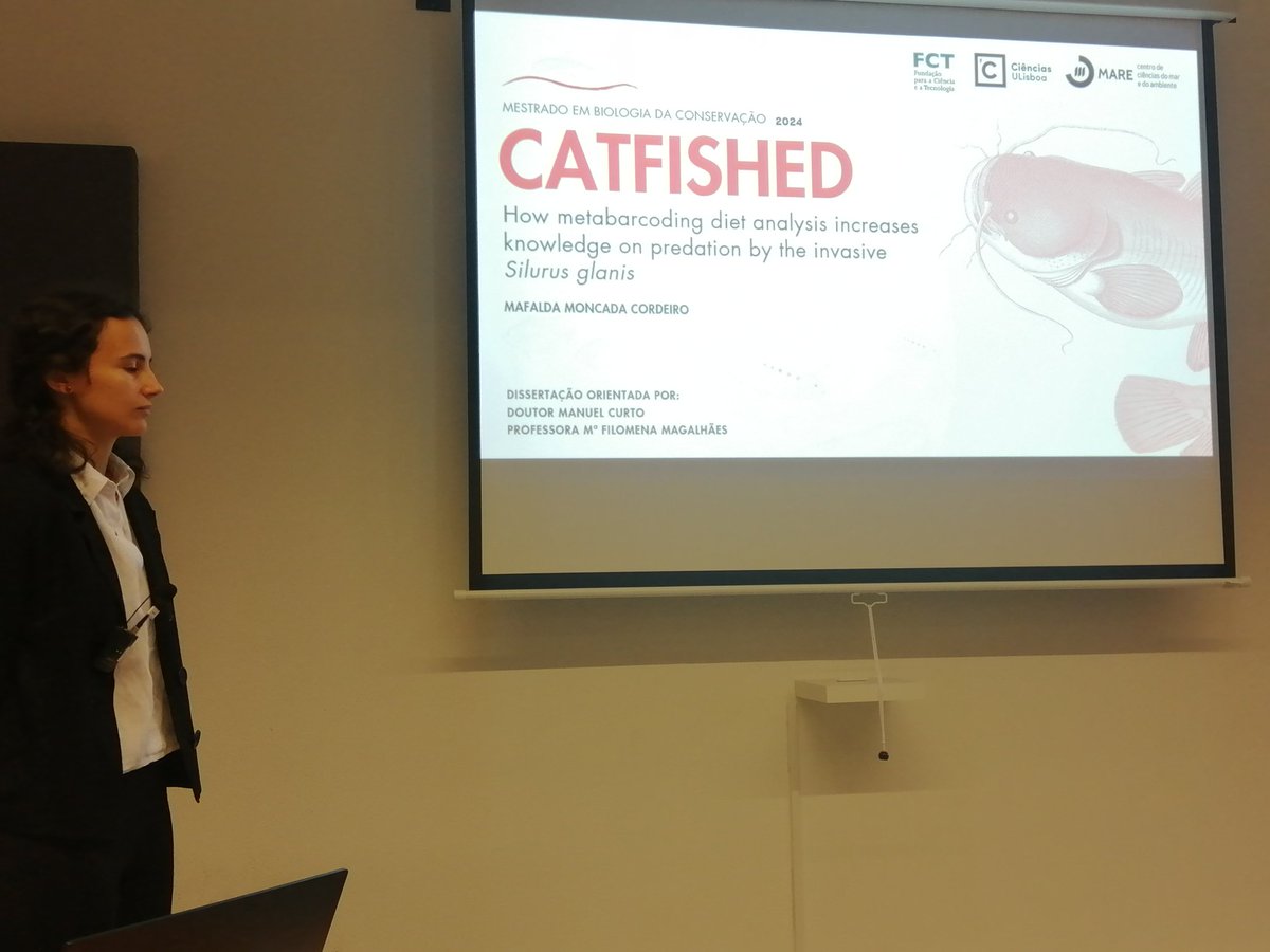 FishInvasionLab's tweet image. Congrats to @MafaldaMoncada for concluding her master thesis! She found high predation frequency of occurrence on European eel,  barbel, shads and mullets in the lower Tagus. @MAREscience #megapredator