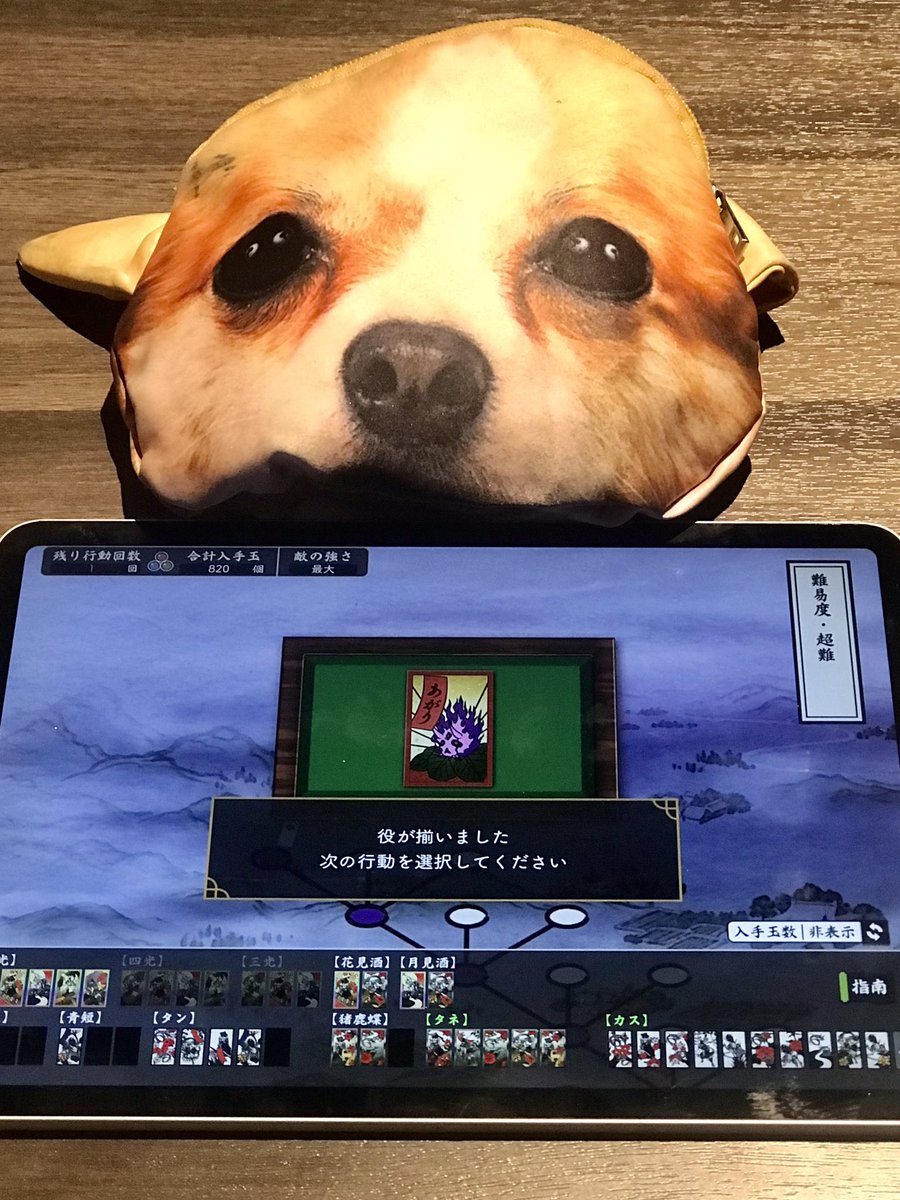 おはようございます。
朝の刀剣乱舞は欠かせない。
気温上がるようですね。
昨日は居酒屋放浪記でしたが、本日は五島の美しき名所巡りを堪能します。 柴田亜美
#刀剣乱舞