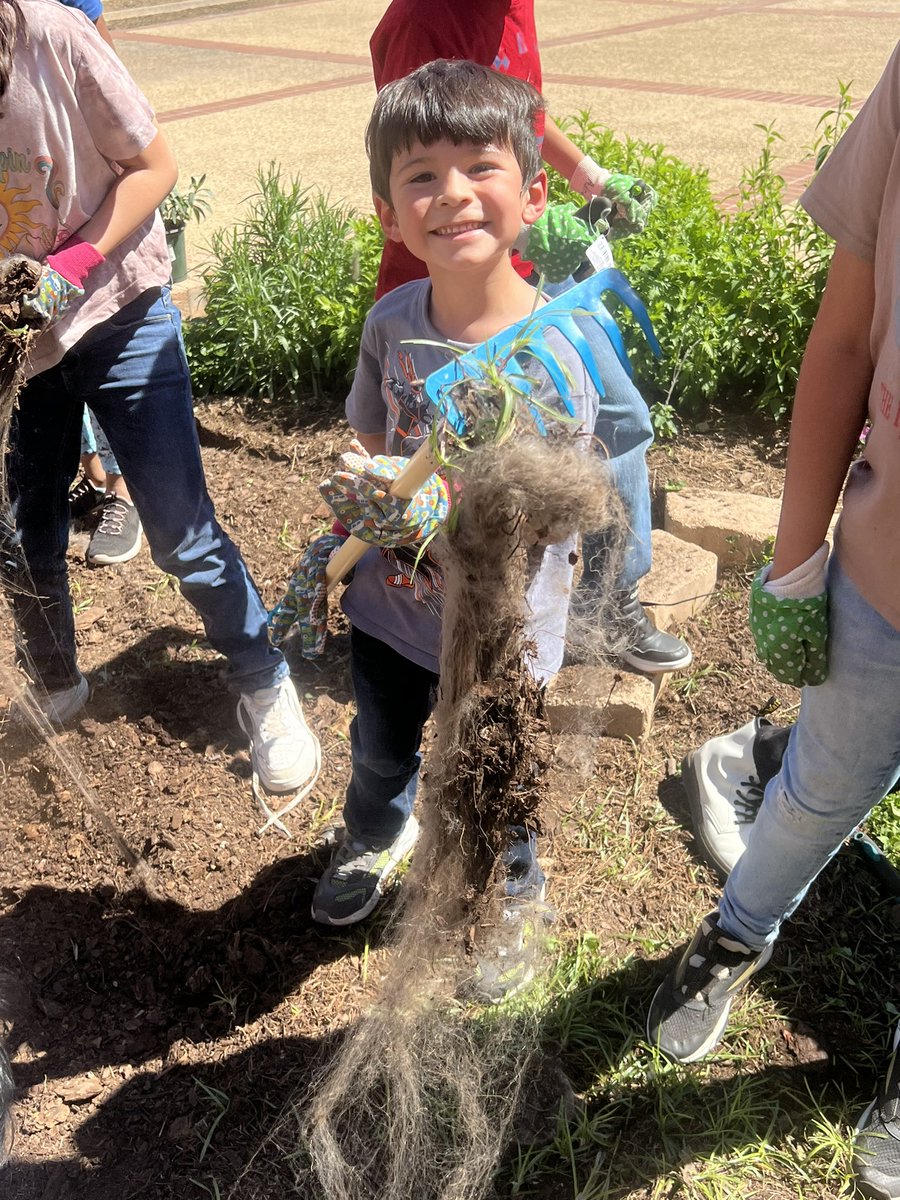 Deweeding & soil prepping has never been so fun! Falcon garden under construction! 🌱🚧 @NISDMcDermott @NISDElemEnviron