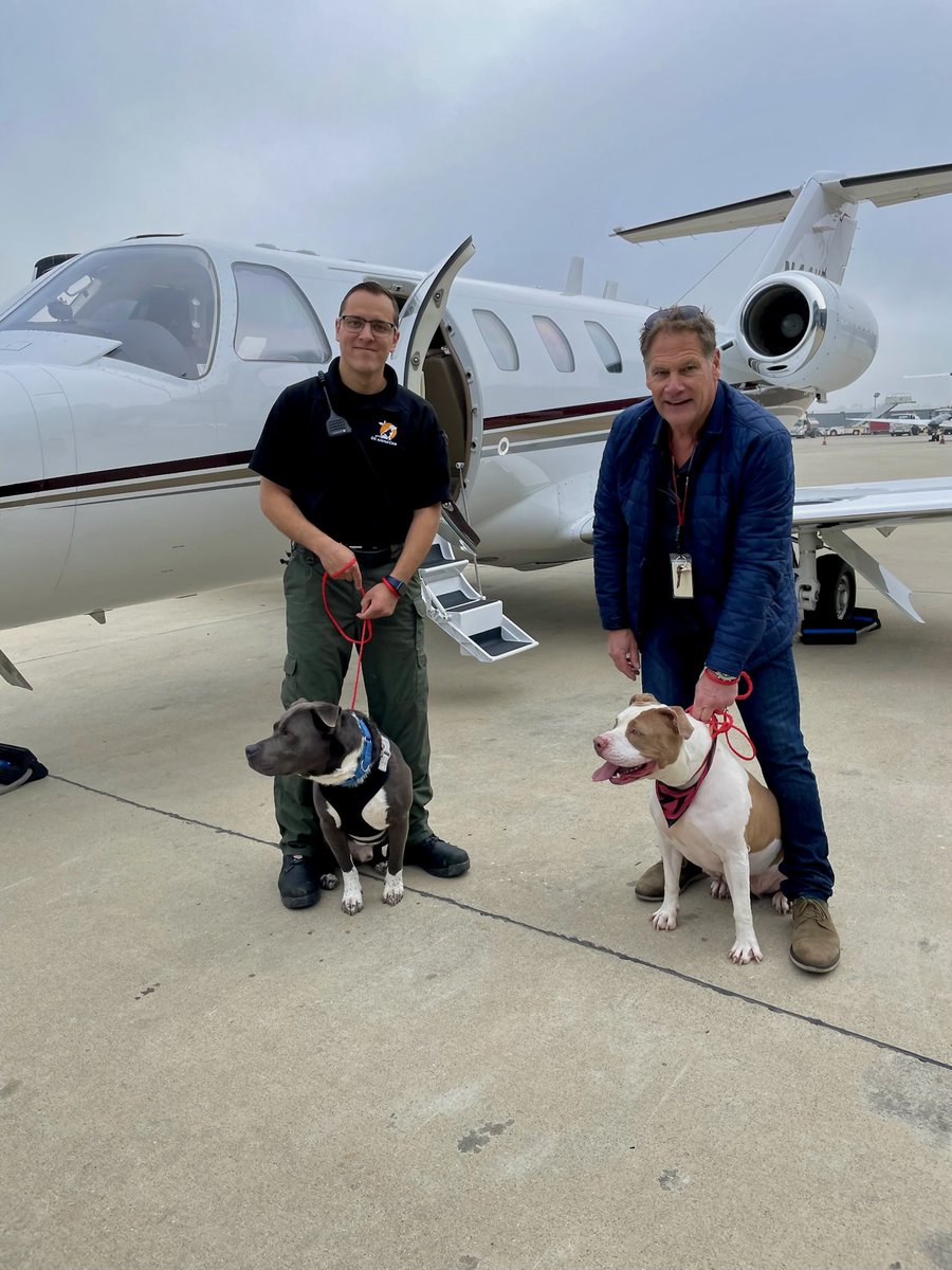 The best kind of #NationalPetDay is one where rescue pups get a shot at a new life. 🐶🫶🏼

Shout out to those who made it happen: <a href="/PilotsNPaws/">Pilots N Paws</a> <a href="/BoiseBullyBreed/">Boise Bully Rescue</a> <a href="/OCAnimalCare/">OC Animal Care</a>

📍: <a href="/SignatureFBO/">Signature Aviation</a> <a href="/LGBAirport/">Long Beach Airport</a>