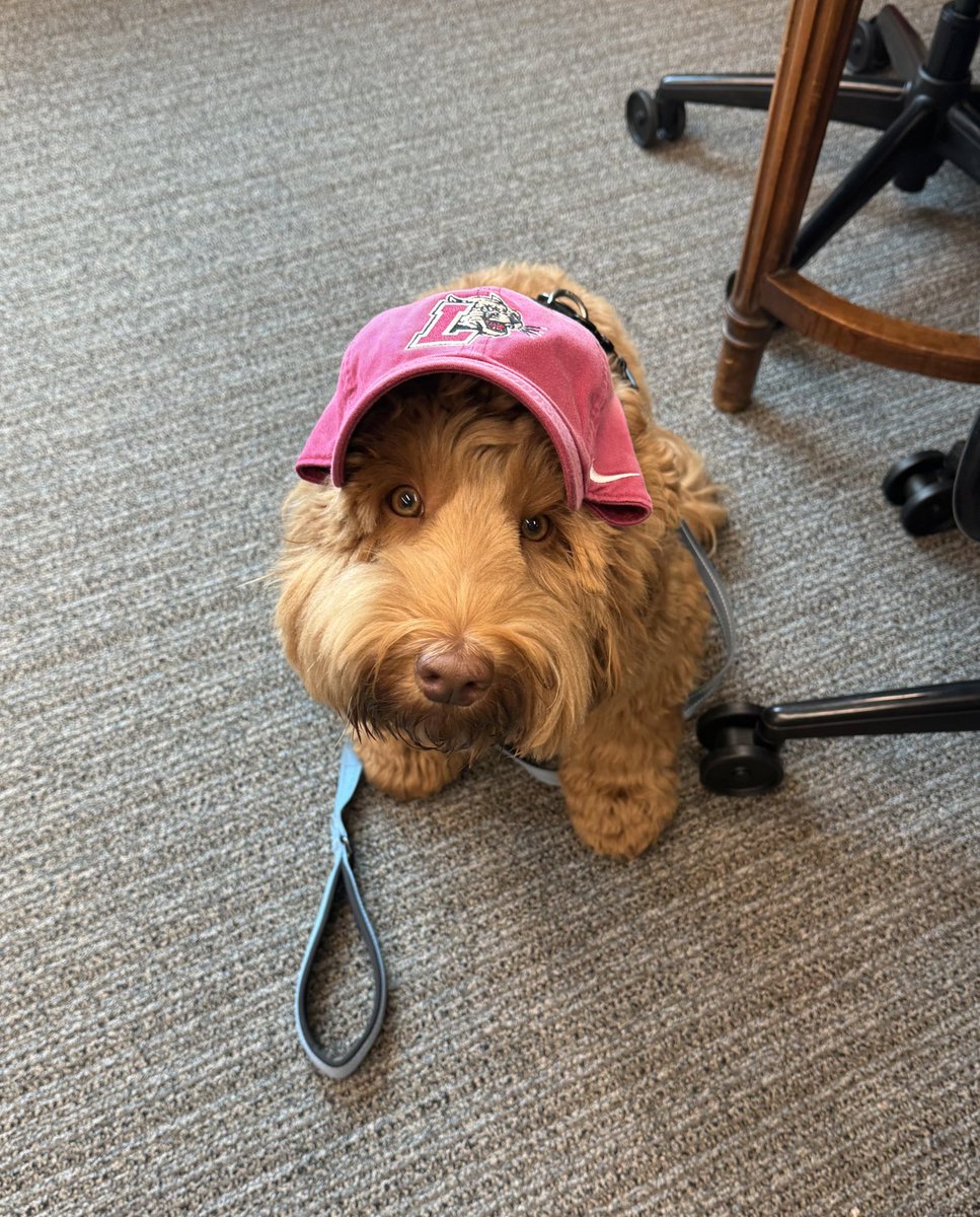 Happy #NationalPetDay from Phoenix! Of course, she’s getting some Leopard love today. 🐆