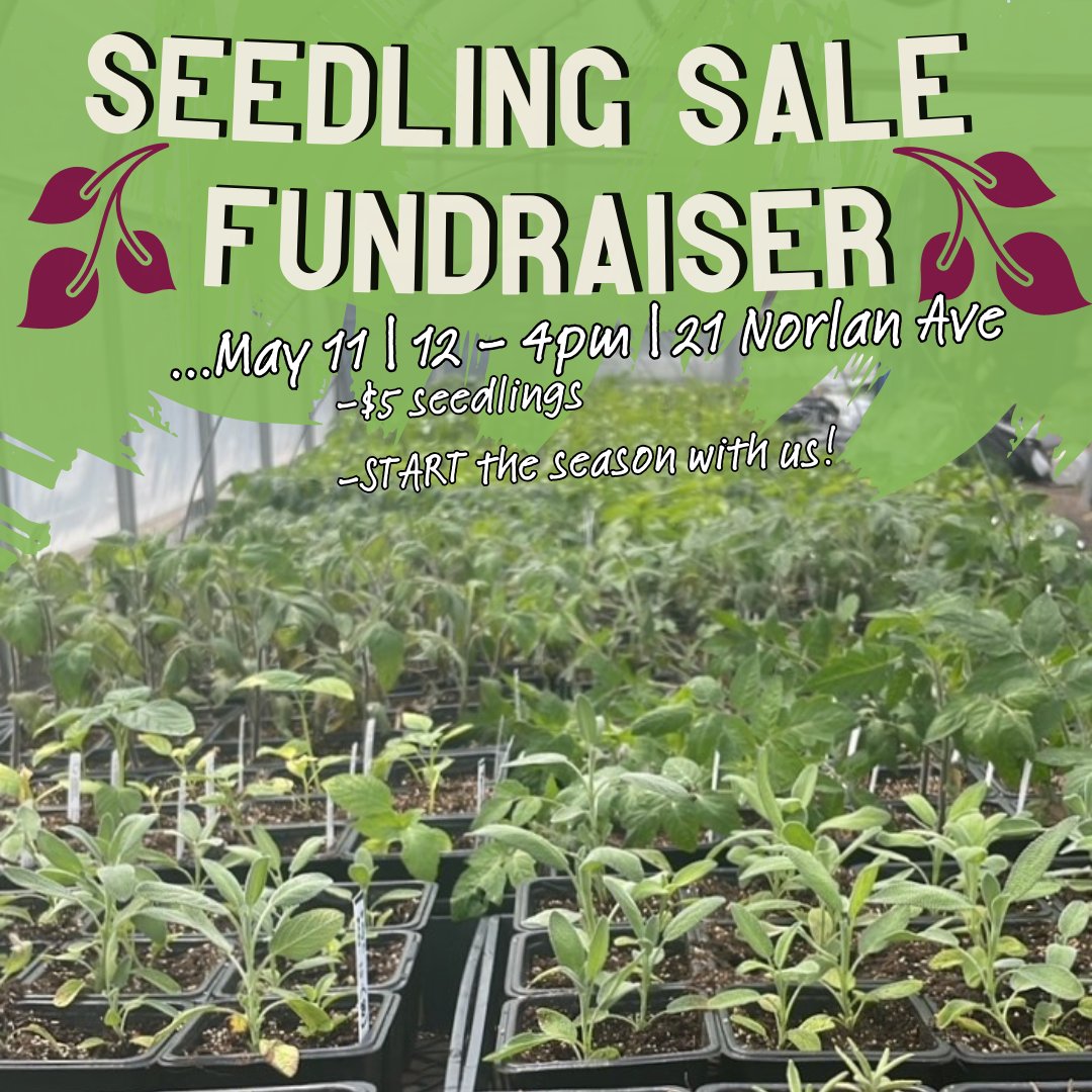 Urban Roots London tweet media