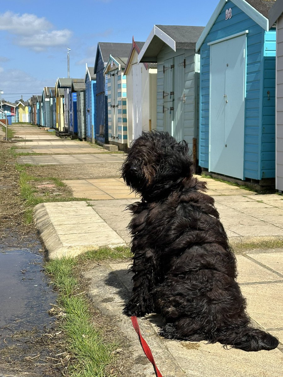 Joanna March tweet media