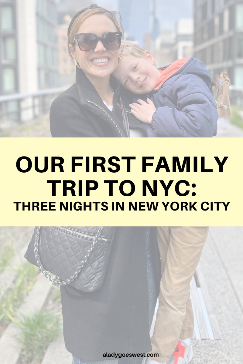 Our first family trip to NYC: Three nights in New York City ... aladygoeswest.com/our-first-fami… #nyc #newyorkcity #familytrip #nyctrip #nycvacation